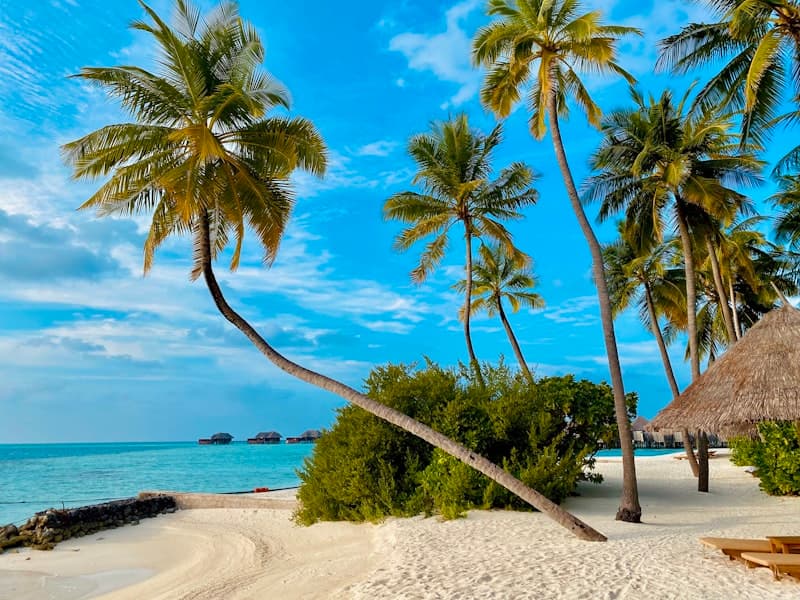 Palm Beach